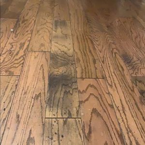 Meet your Posher, Kendall